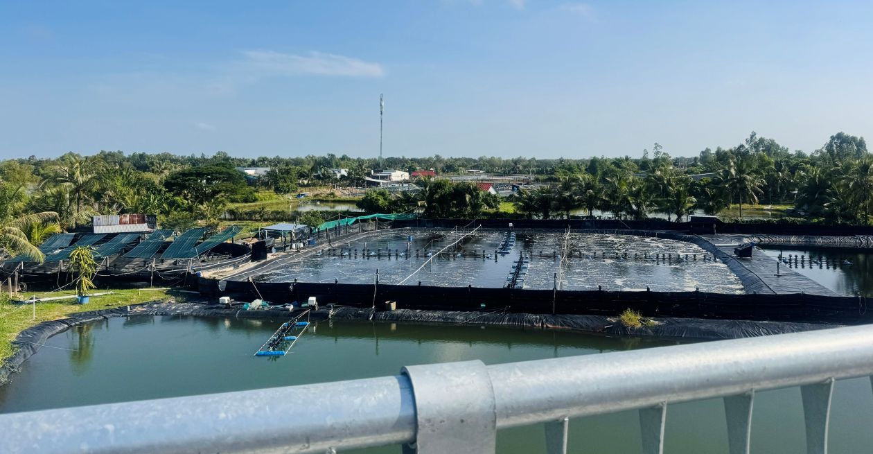 Doan tuyen di qua vung san xuat tom, lua giup viec van chuyen nong san, thuy san cua nguoi dan thuan loi hon. Anh: Phuong Anh