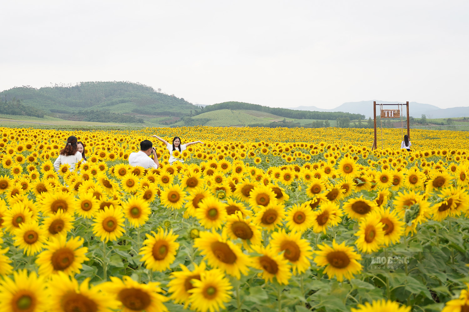 Nhung diem check-in duoc bo tri doc loi di giup du khach co nhung khuon hinh sang tao, doc dao.