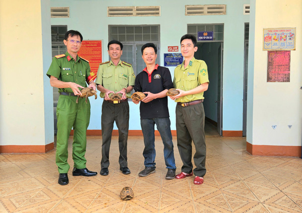 希少な山羊の個体が関係機関に引き渡されました。写真:Ngoc Duy