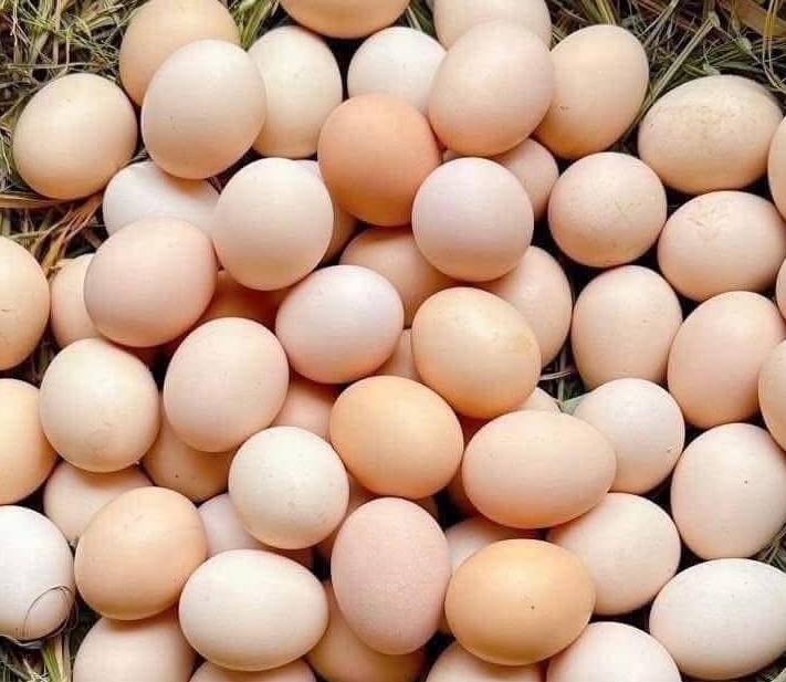 Eggs are one of the suitable foods for female workers working in the collagen supplementation factory. Photo: Kieu Vu