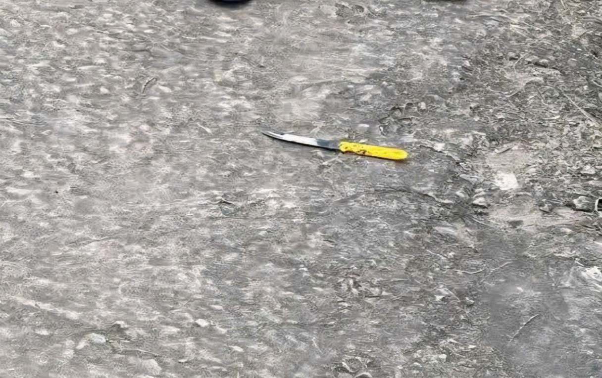 Con dao nhon duoc cho la nu sinh lop 8 tai Ninh Binh da dung de dam ban dan den tu vong. Anh: Dieu Anh