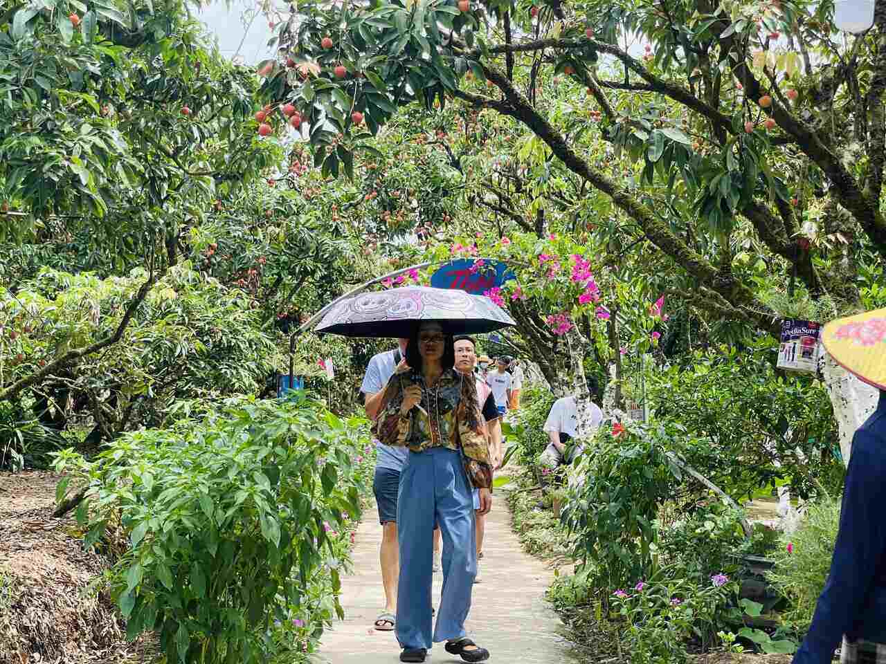 Khu sinh thai Dong Man tap nap nguoi ra vao. Anh: Mai Huong