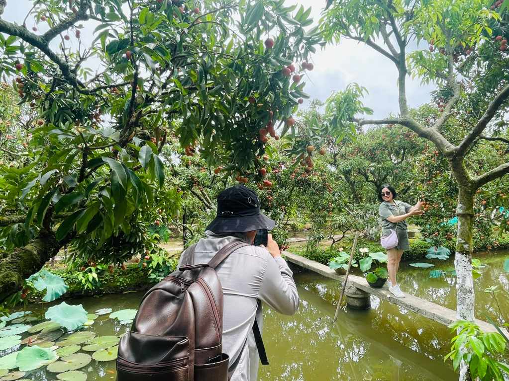 Vuon vai tro thanh khong gian du lich, nong dan Thanh Ha tang them nguon thu. Anh: Mai Huong