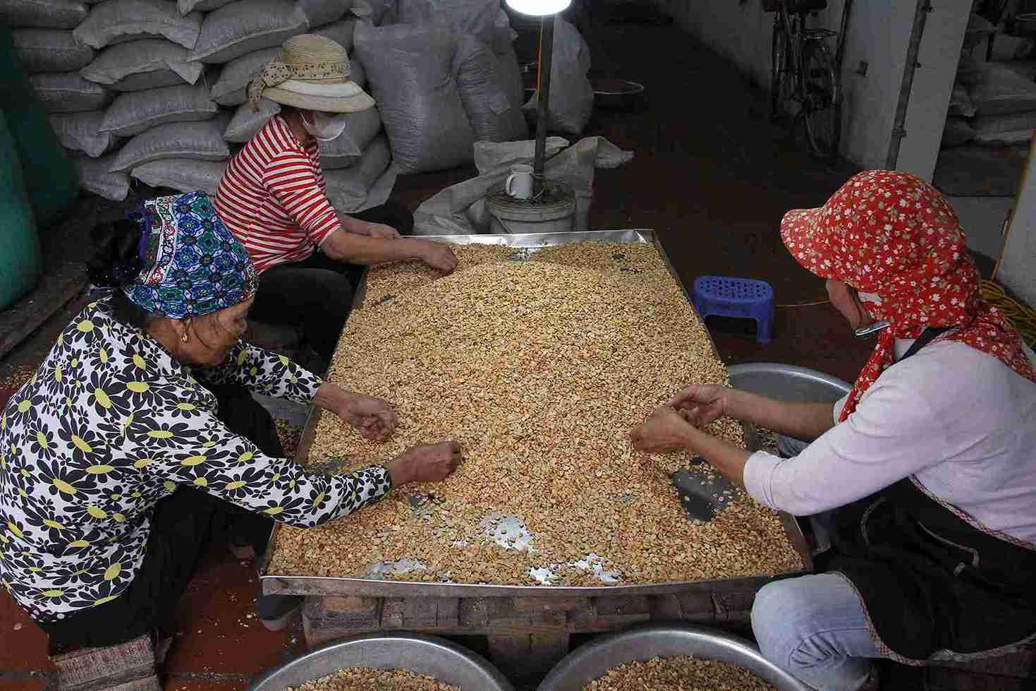 Natural ingredients such as sticky rice, ginger, and peanuts are prepared to make fish cake. Photo: Mai Huong