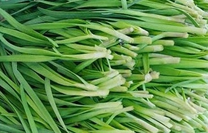 To suit the working rhythm of workers, the right preparation method will help chives support kidney health. Photo: Kieu Vu