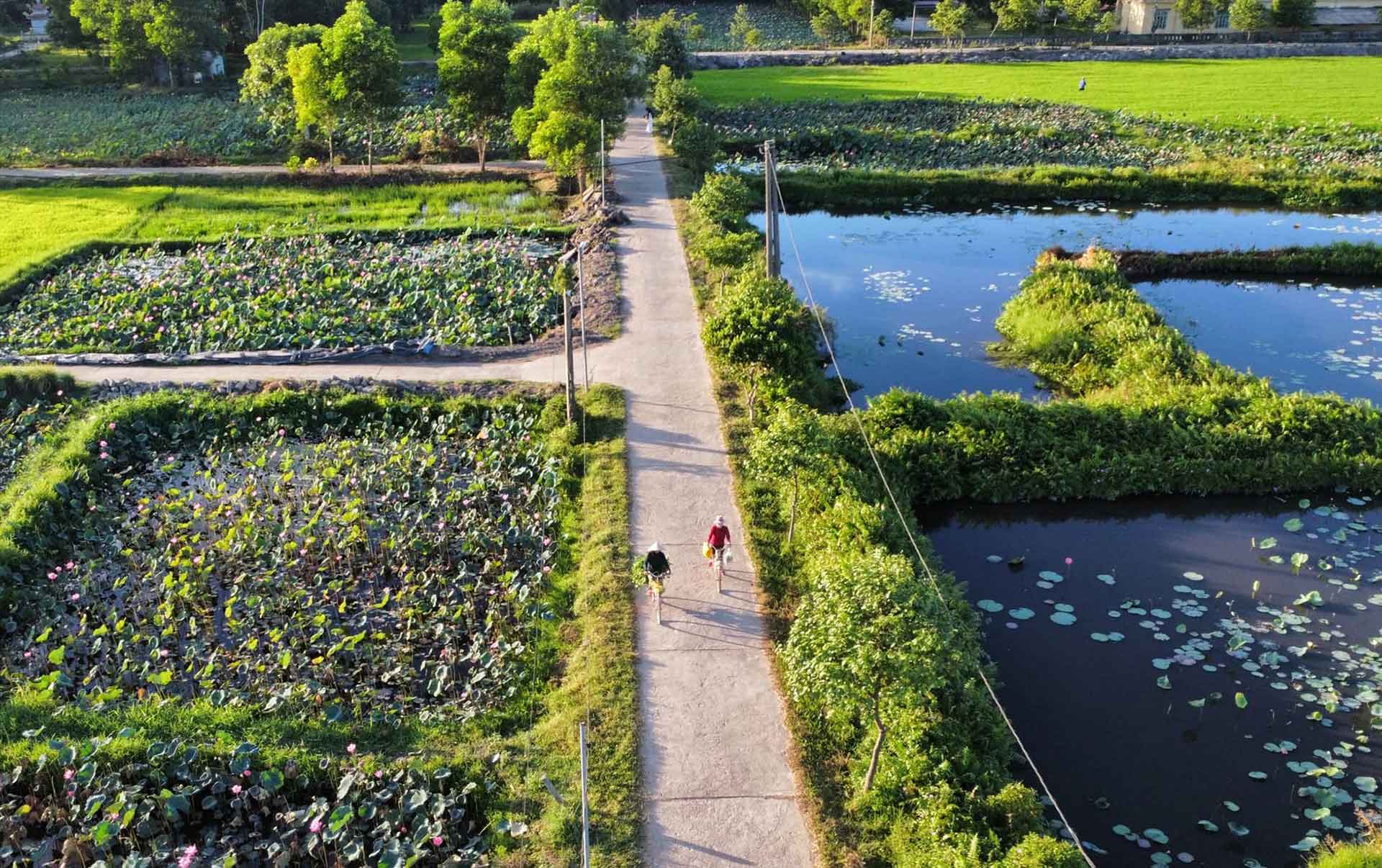 Mien que binh yen o Quang Tri. Anh: Tran Minh Hieu