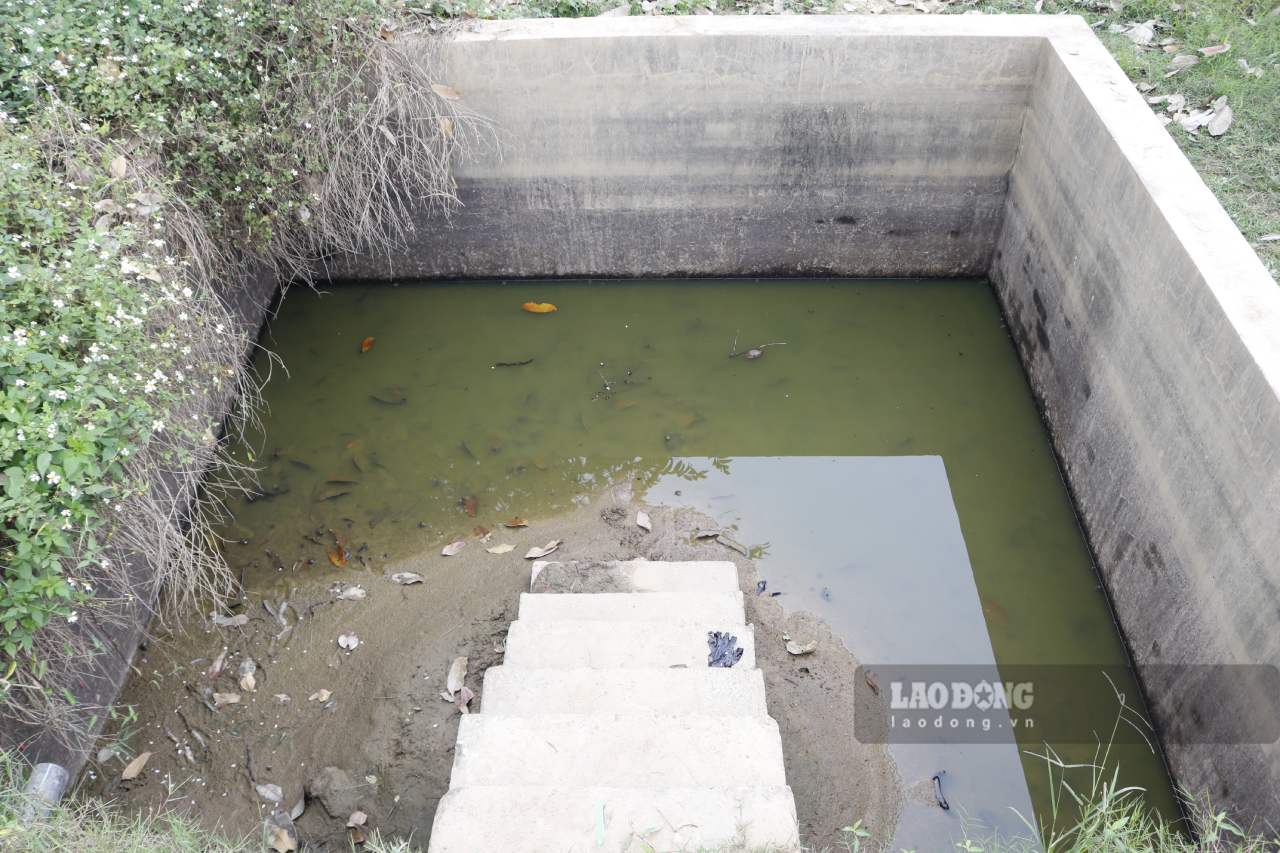 Tram bom bi hu hong, xuong cap khong the bom nuoc khien cac be tru can tro day. Anh: Van Duc