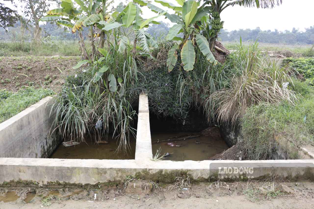 Nguoi dan phai chat vat ganh nuoc xa hang km de tuoi tieu cho vuon rau. Anh: Van Duc