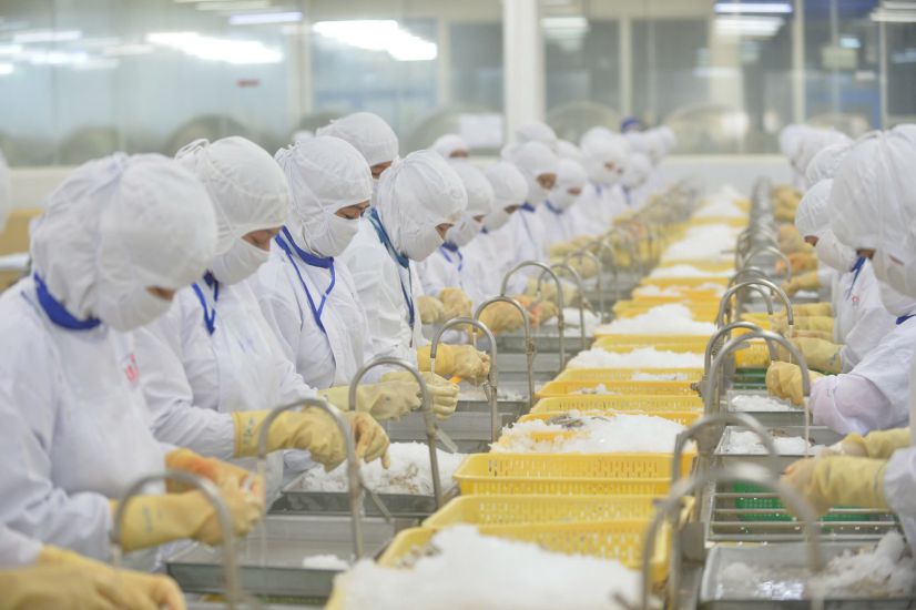 An seafood processing enterprise for export in Can Tho City. Photo: Hai Nguyen