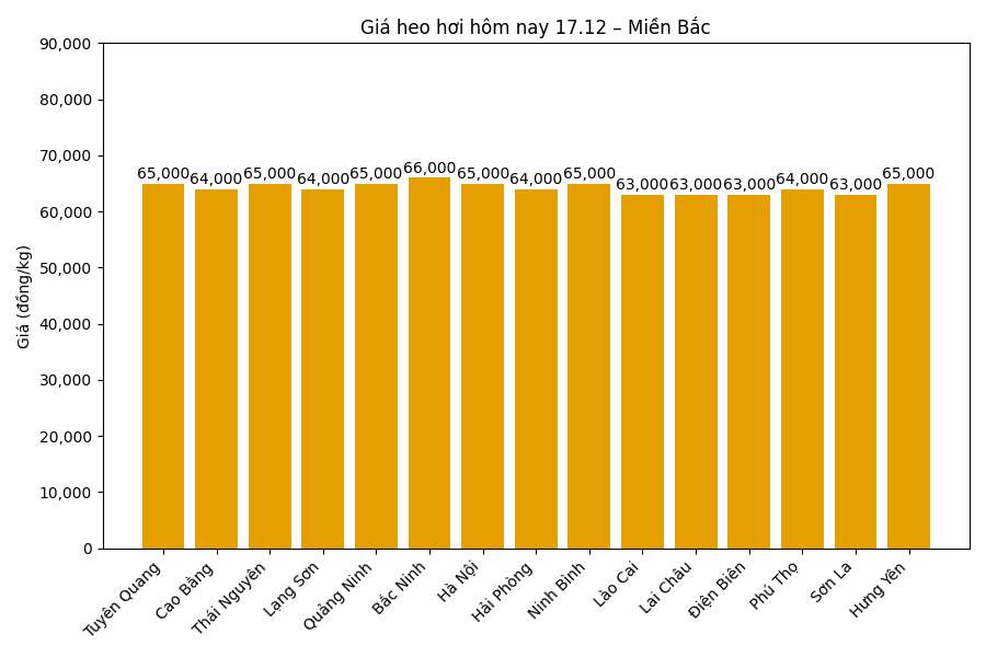 Gia heo hoi hom nay 17.12 tai khu vuc mien Bac. Do hoa: Thuy Linh