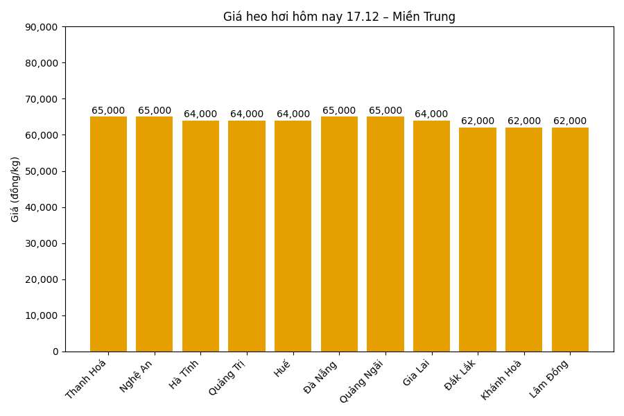 Gia heo hoi hom nay 17.12 tai khu vuc mien Trung. Do hoa: Thuy Linh