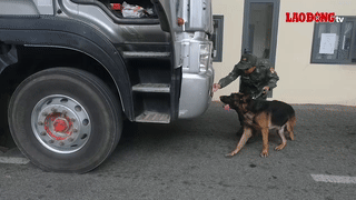 Officers and soldiers stay to keep the border peace in An Giang.