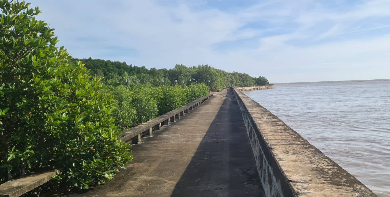 Doan ke khu vuc Dat Mui, Ca Mau sau khi hoan thanh khu vuc nay khong con sat lo, rung ngap man tai sinh phia trong ke. Anh: Nhat Ho