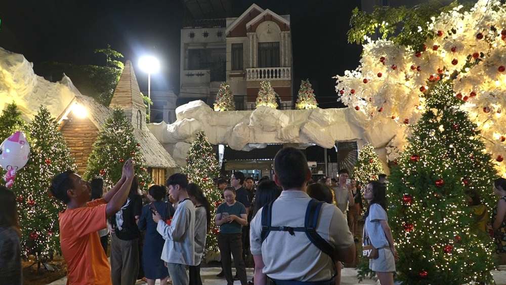  Nhieu nguoi chiem nguong va doi check-in cung nhung cay thong tai con hem dan vao giao xu Hop An. Anh: Mai Anh.