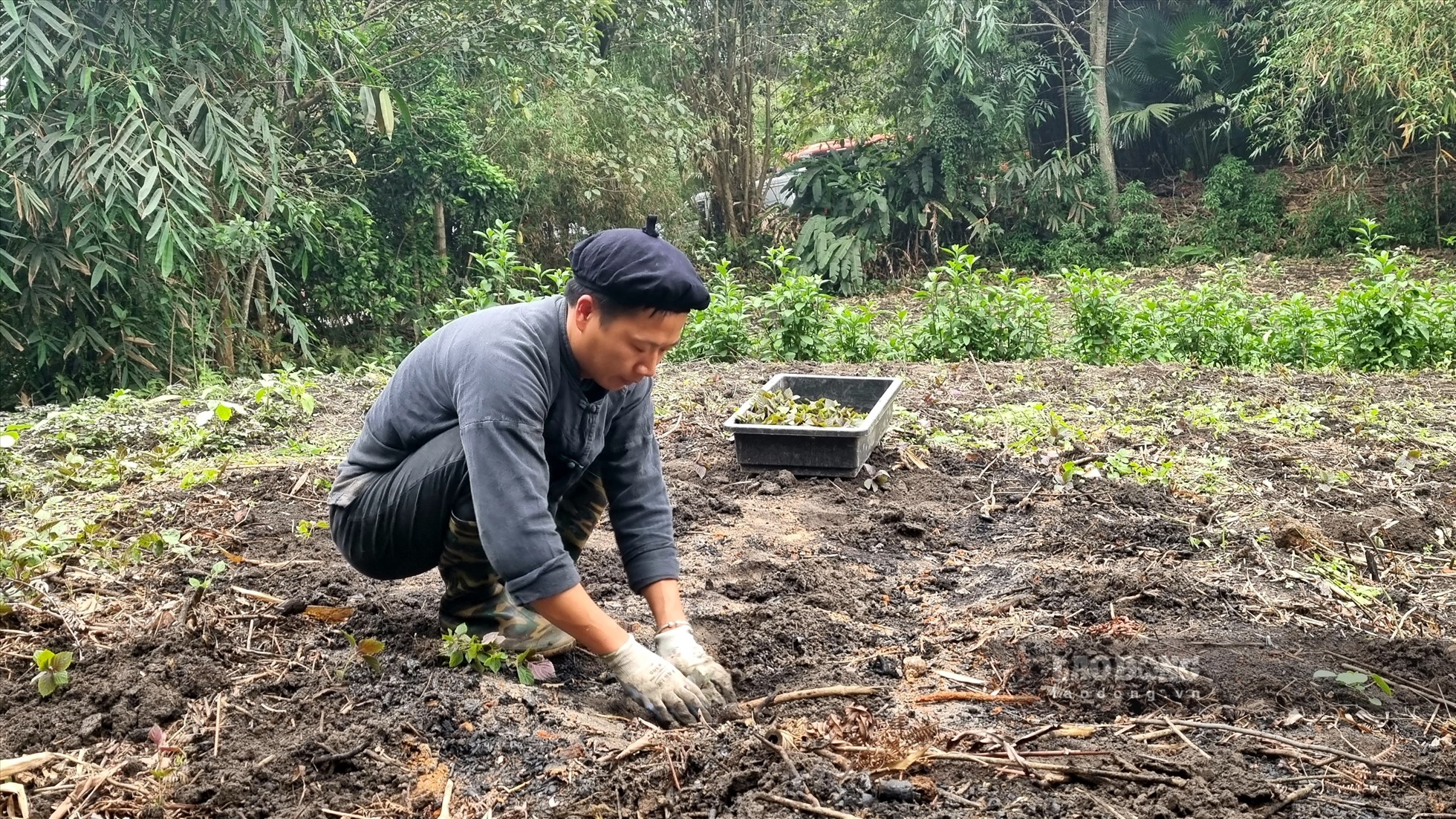 Trong giai doan dau xay dung nen mong dau tien, lang Thai Hai chua lam du lich, cuoc song o day thuan tuy la giu gin va bao ton van hoa. Phai den nam 2014, lang moi chinh thuc dang ky phat trien du lich cong dong tai dia phuong. Anh: Nguyen Tung