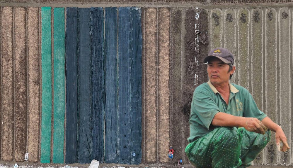 Agricultores se aferran a la lluvia y se refugian en la capital de las verduras limpias en Hue despues de las inundaciones. Foto: Nguyen Luan