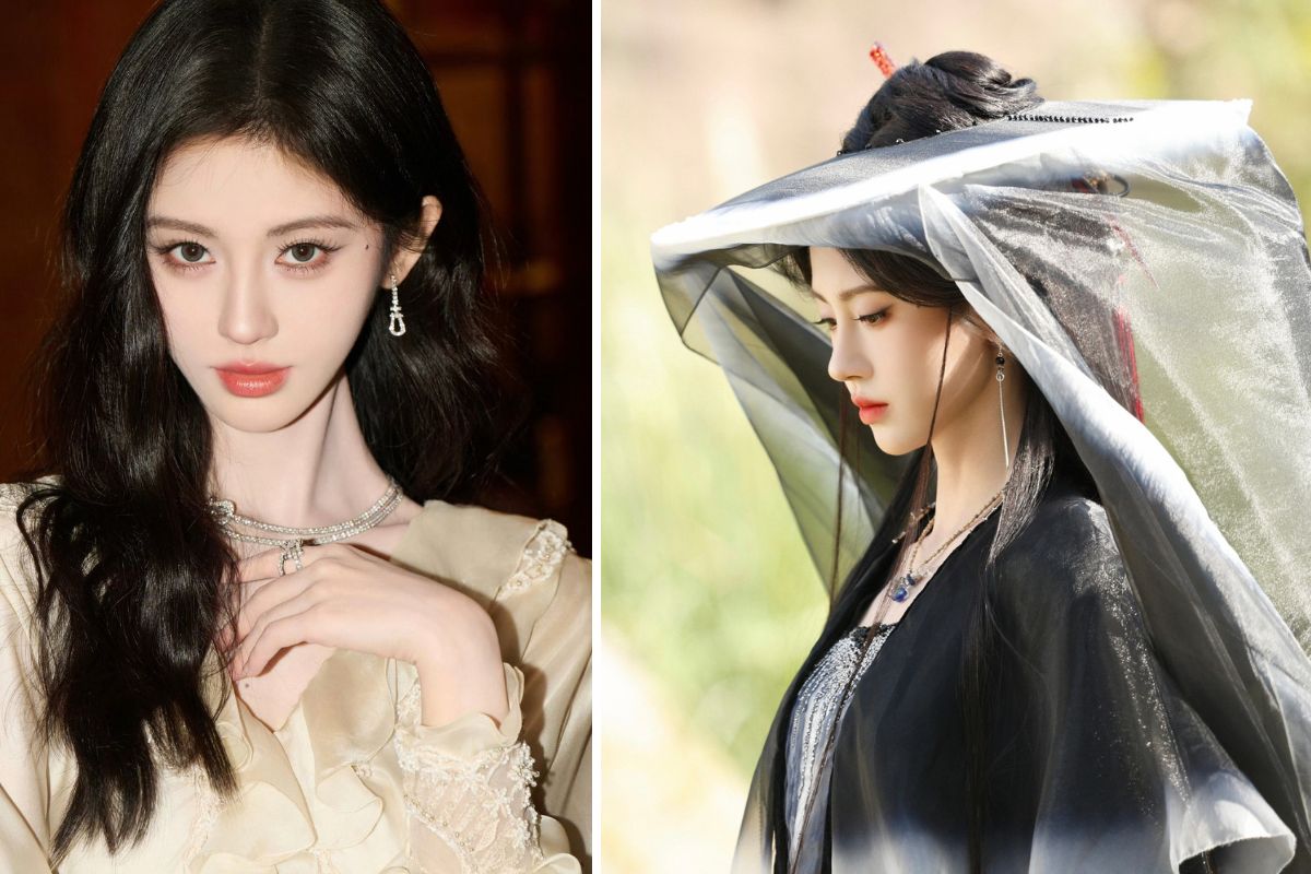 Cuc Tinh Y la my nhan Hoa ngu co gia tri thuong mai cao. Anh: Nha san xuat