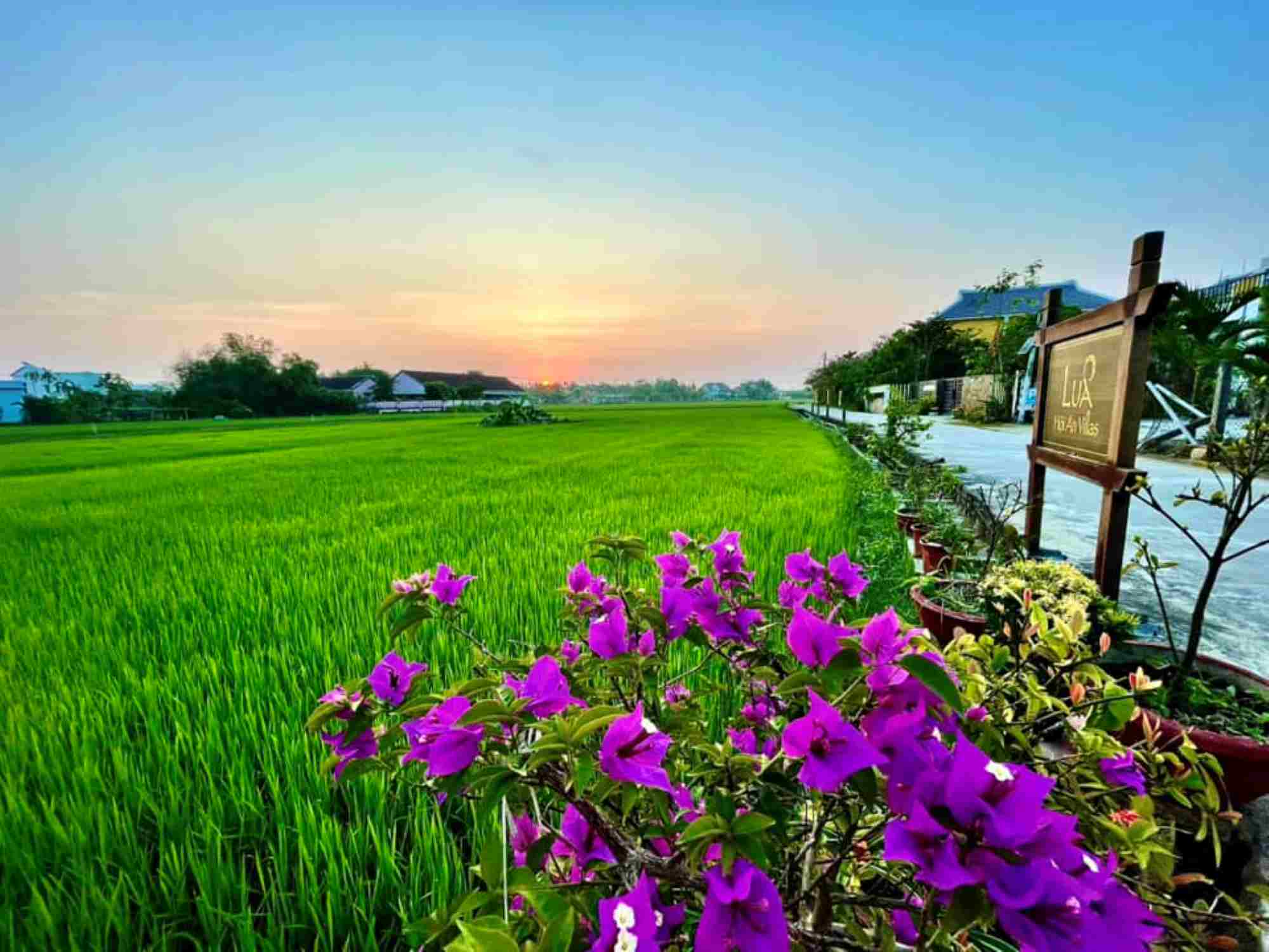 Ngoai o Hoi An. Anh: Hai Pham