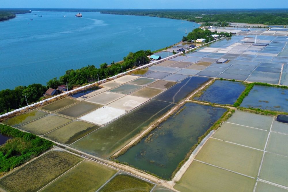 Nam lot thom giua rung ngap man Can Gio, ap dao Thieng Lieng hien ra nhu mot oc dao binh yen, tach biet hoan toan voi khoi bui do thi. Ảnh: Anh Tu