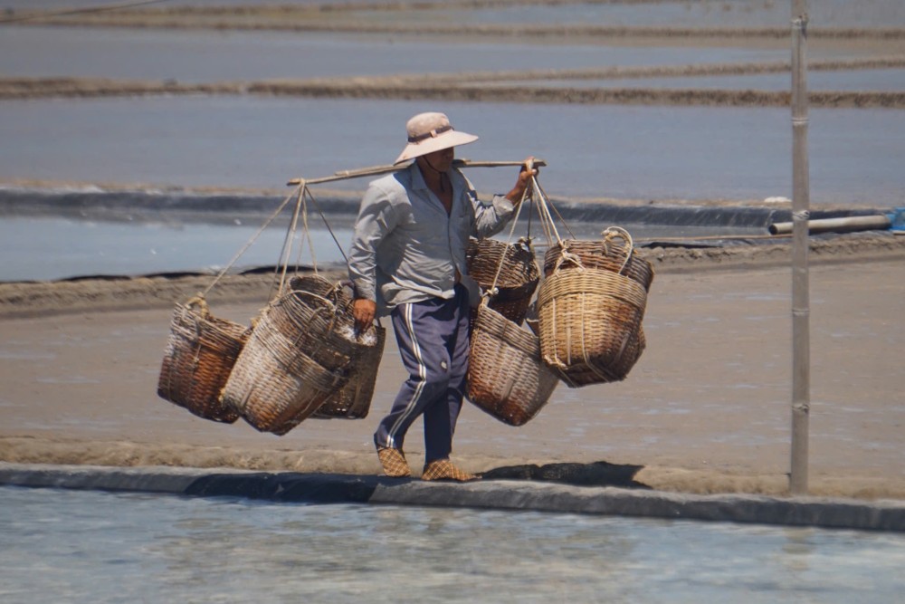 Diem dan doi nang thu hoach muoi giua trua. Ảnh: Thai Bao