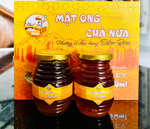 Anh: Xa Muong Cha
