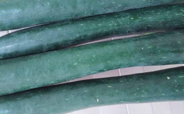 Does squash really help the liver and kidneys function better? Photo: Kieu Vu