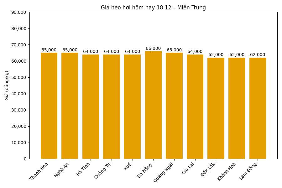 Gia heo hoi hom nay 18.12 tai khu vuc mien Trung. Do hoa: Thuy Linh