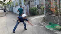 Arresting stray dogs without chains, without muzzles in Ho Chi Minh City