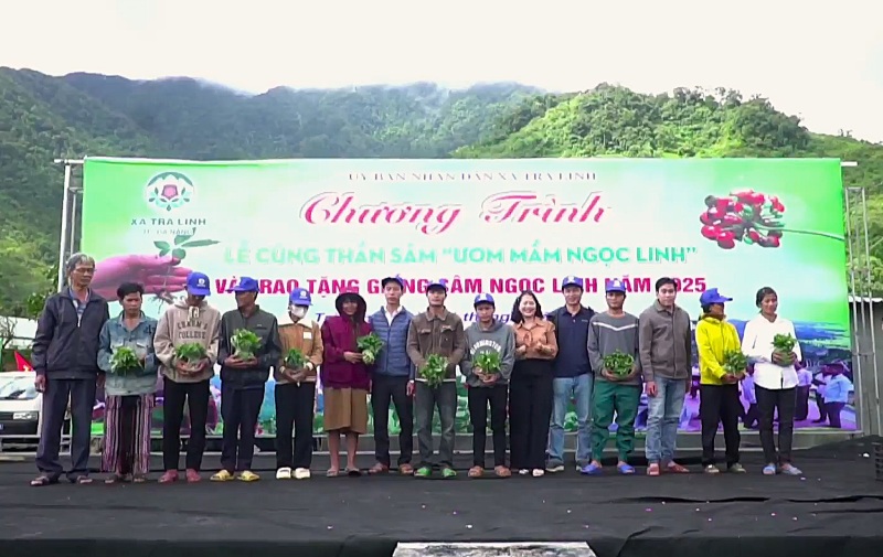 Nhung ho kha gia tren dinh Ngoc Linh trao 7.000 cay sam giong, tiep suc cho ho ngheo, kho khan vuon len thoat ngheo. Anh: Truong An