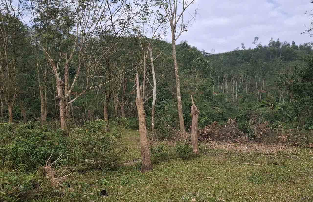 Khu vực đồi ở thôn 12 xã Hà Linh sắp tổ chức đấu giá, cấp phép khai thác mỏ đất mà người dân lo ngại ảnh hưởng môi trường. Ảnh: Trần Tuấn.