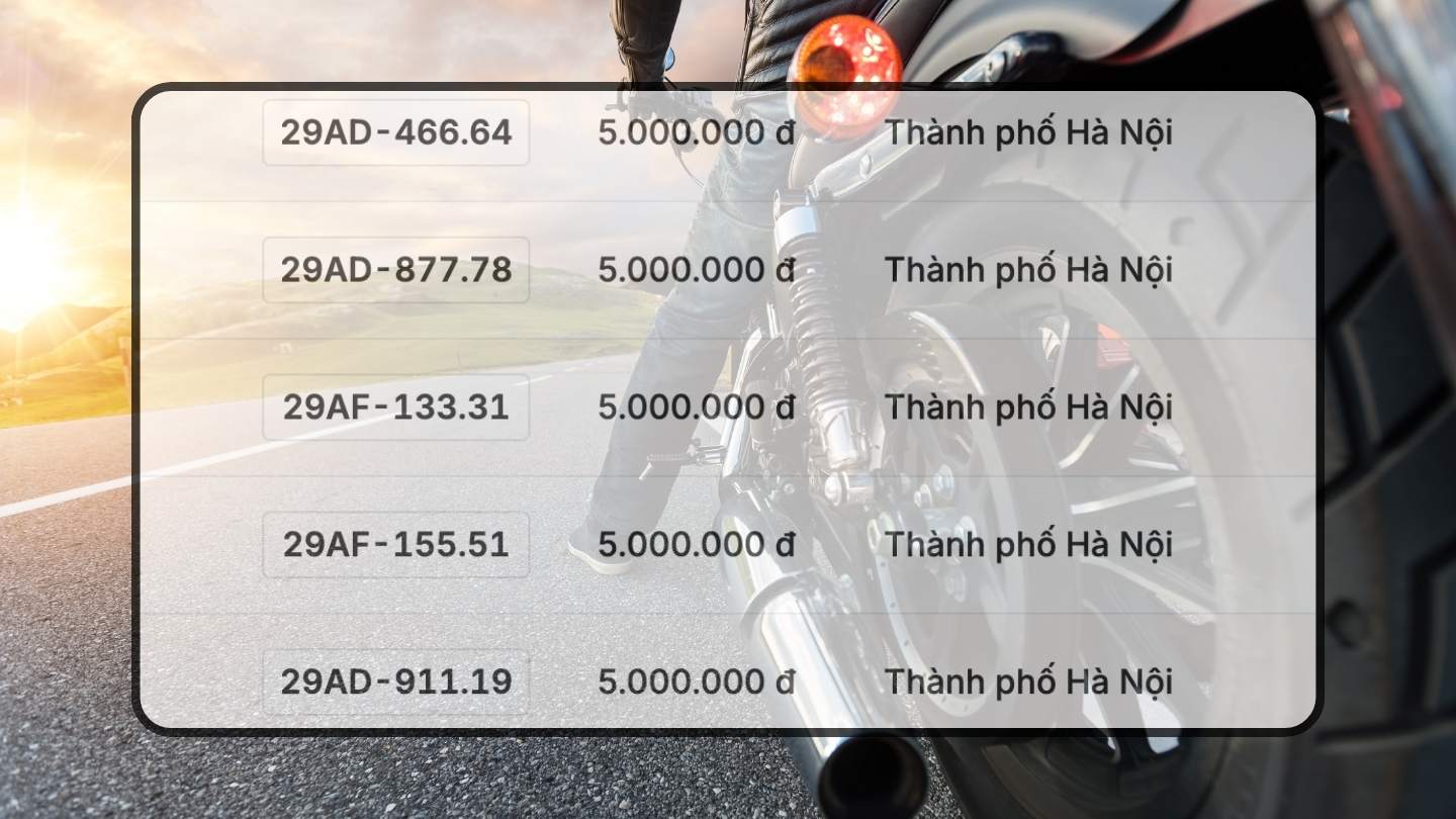 Bien so xe may dep co trong phien dau gia ngay 18.12. Do hoa: Hao Thien