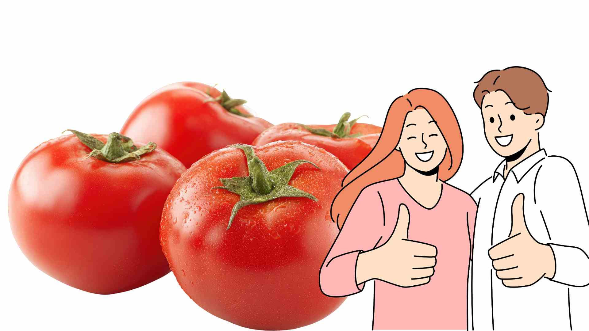 Eating tomatoes properly is good for your health. Graphics: Ha May