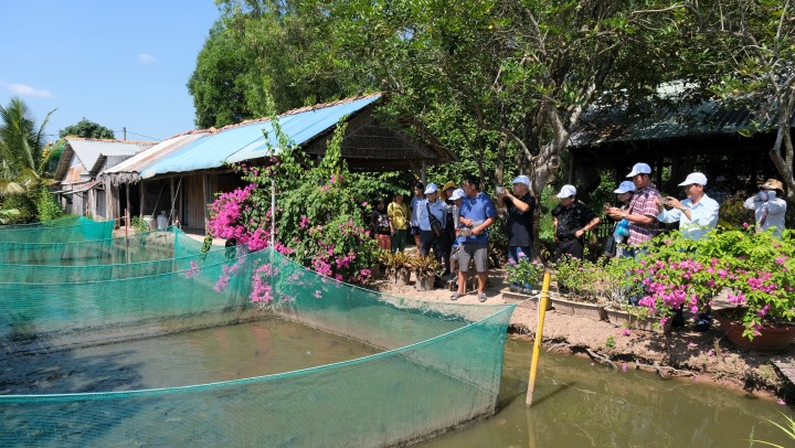 Tourists visit garden houses in Con Son. Photo: Phong Linh