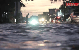 Can Tho City is often flooded due to high tides