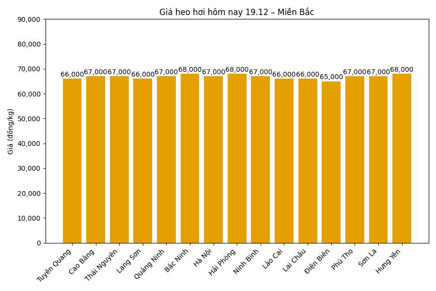 Gia heo hoi hom nay 19.12 tai khu vuc mien Bac. Do hoa: Thuy Linh
