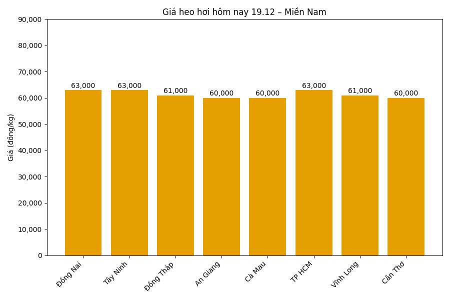 Gia heo hoi hom nay 19.12 tai khu vuc mien Nam. Do hoa: Thuy Linh