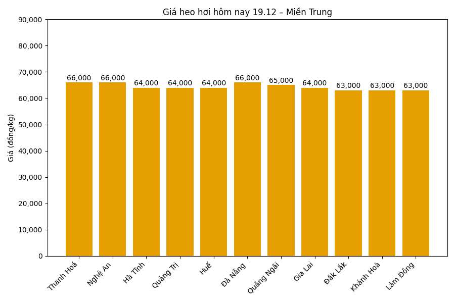 Gia heo hoi hom nay 19.12 tai khu vuc mien Bac. Do hoa: Thuy Linh