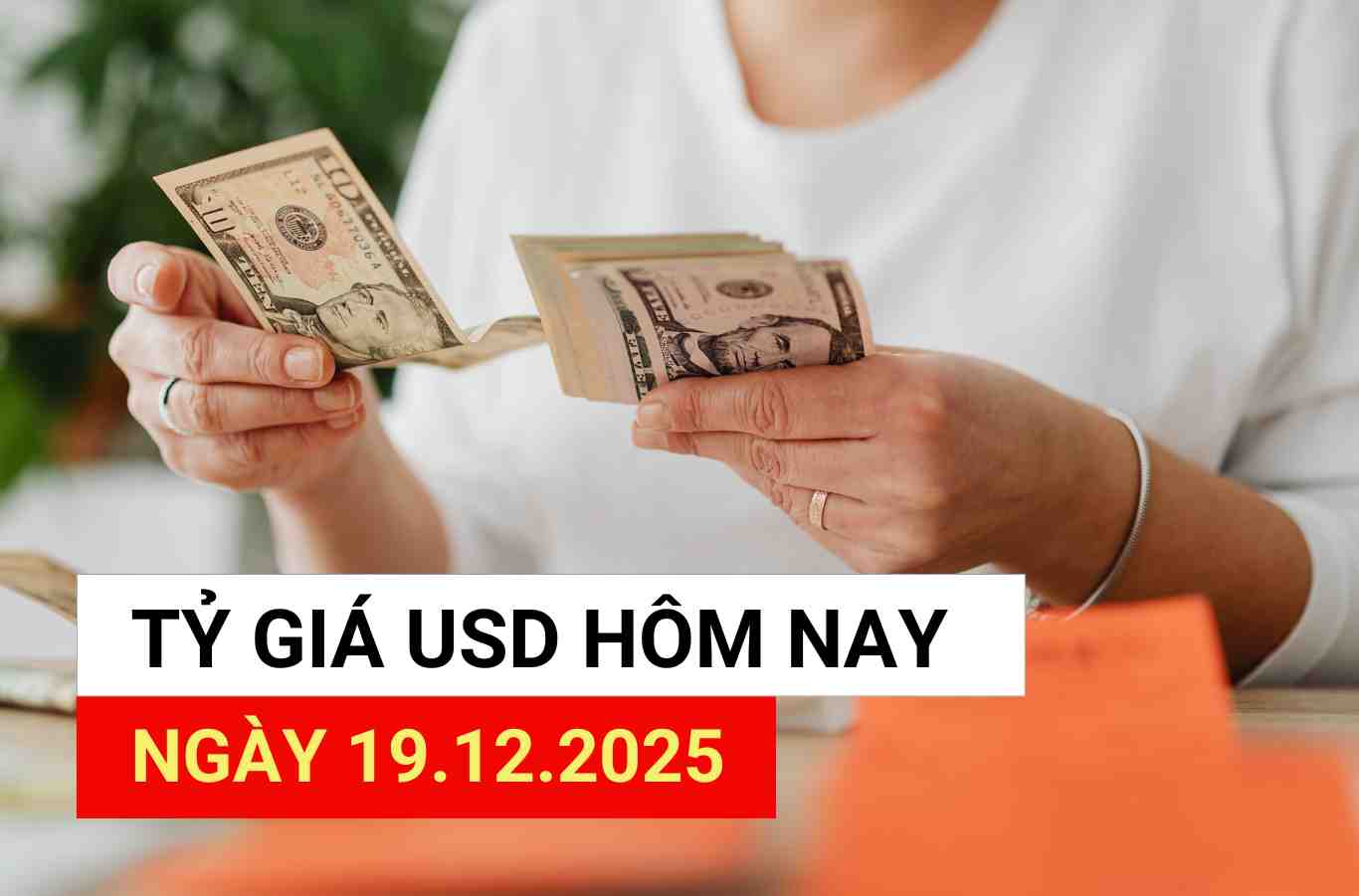 USD exchange rate today 19.12.2025.