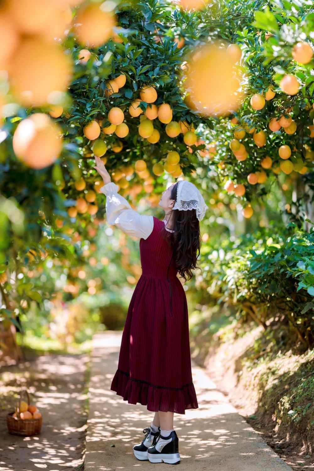 Nhieu nguoi sau khi thuong thuc cam tai cho thuong khong ngan ngai mua them vai chuc can de mang ve bieu tang nguoi than va ban be. Neu muon tu tay hai cam mua ve lam qua, khach chi can dang ky voi chu vuon, moi kg cam co gia dao dong tu 60.000 - 80.000 dong tuy kich co trai.