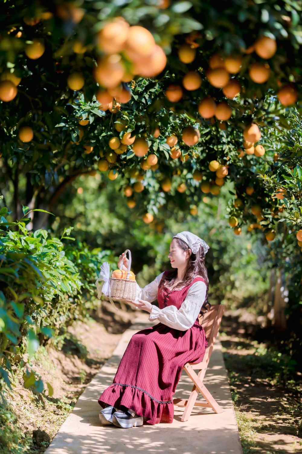 Mua cam Moc Chau khong chi thu hut du khach toi trai nghiem, check-in ma con la thoi diem cac tho anh dich vu tap nap tim den. Nhung goc vuon dep tu nhien, voi nhung cay cam sai triu qua thap ngang nguoi, ket hop voi anh nang diu buoi som tao nen boi canh ly tuong cho nhung bo anh ky niem.  