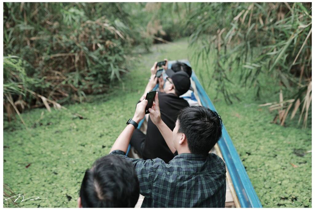 Du khach chiem nguong ve dep cua rung U Minh Ha. Anh: Tran Bi