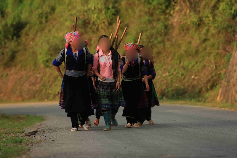Many children in mountainous areas have to drop out of school and go to work very early to contribute to supporting their families. Photo: Hai Nguyen