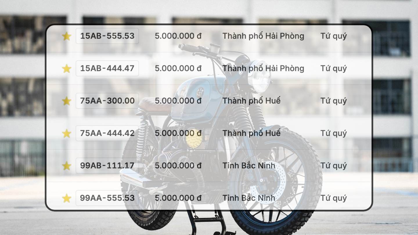 Bien so xe may dep co trong phien dau gia ngay 19.12. Do hoa: Hao Thien