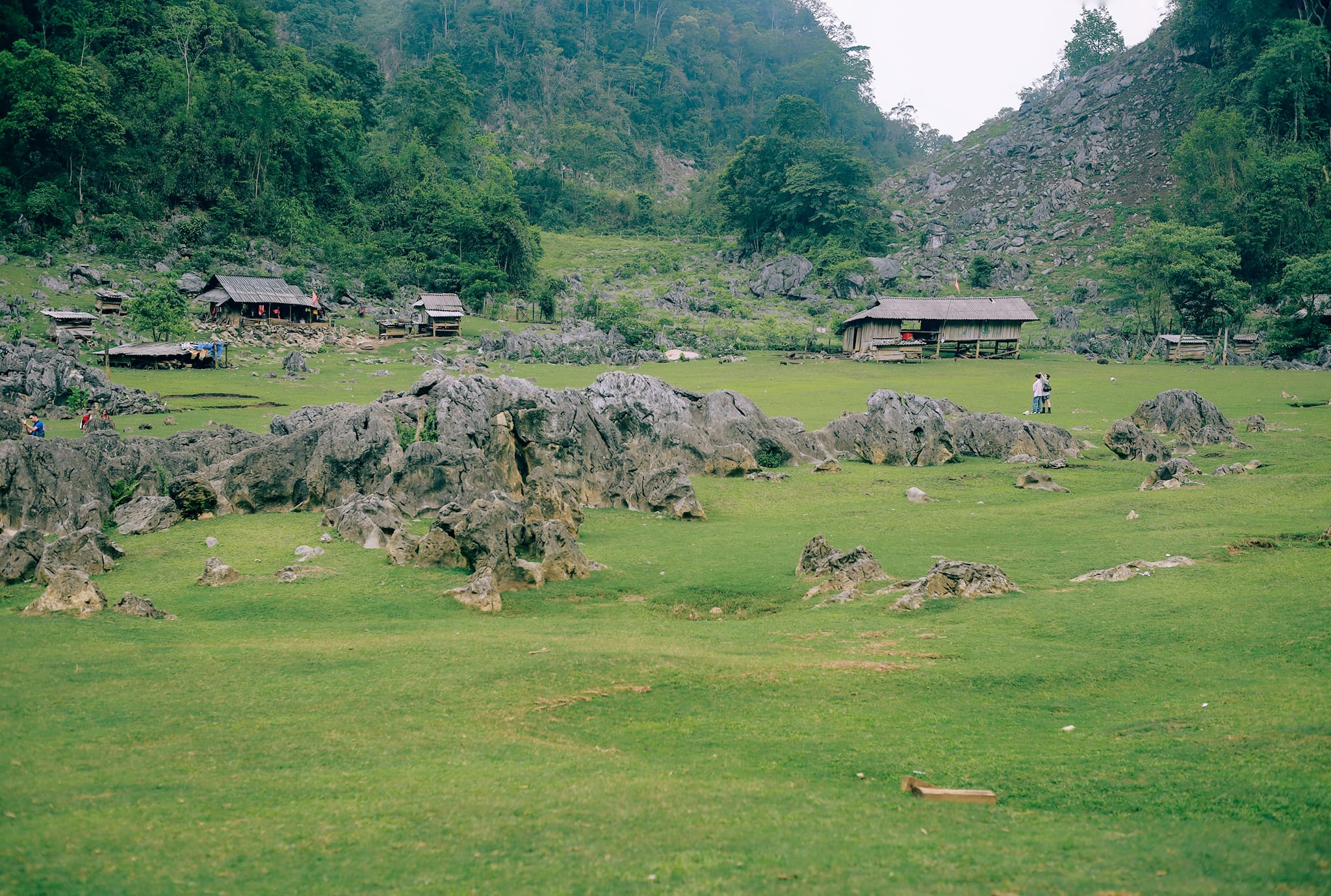 Ban hang Tau - lang nguyen thuy hoang so cua Moc Chau. Anh: Ha An