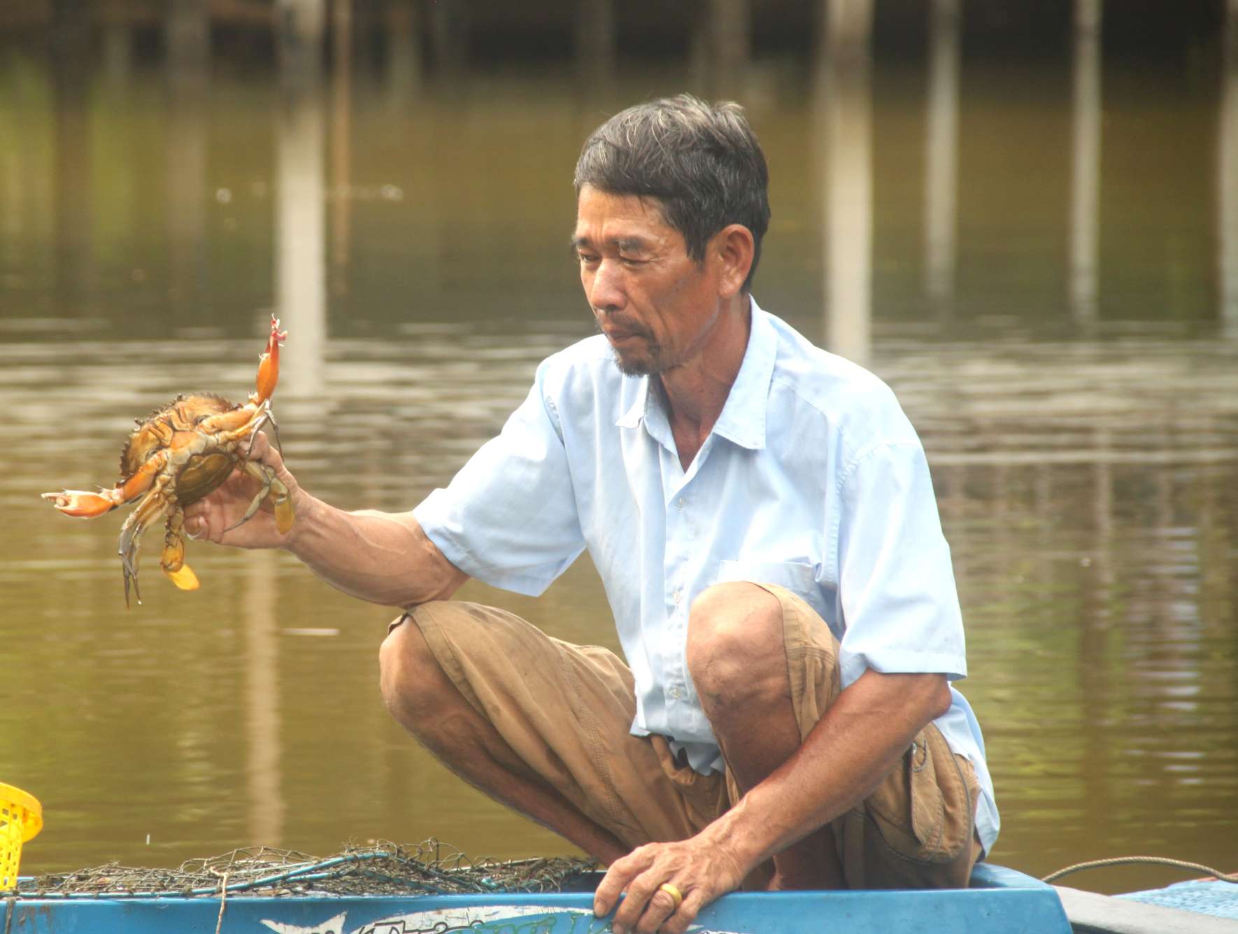 Gia cua o muc cao, nguoi nuoi cua Ca Mau phan khoi. Anh: Nhat Ho