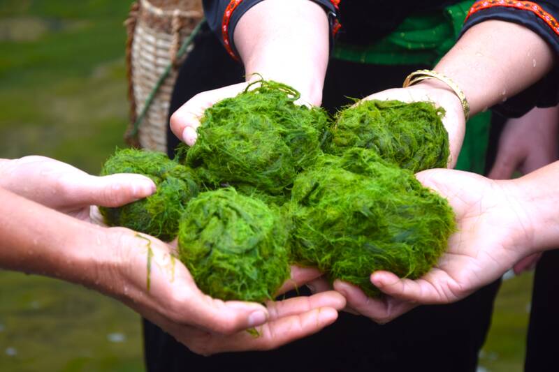 Cac mon an duoc lam tu reu suoi. Anh: Truong Son