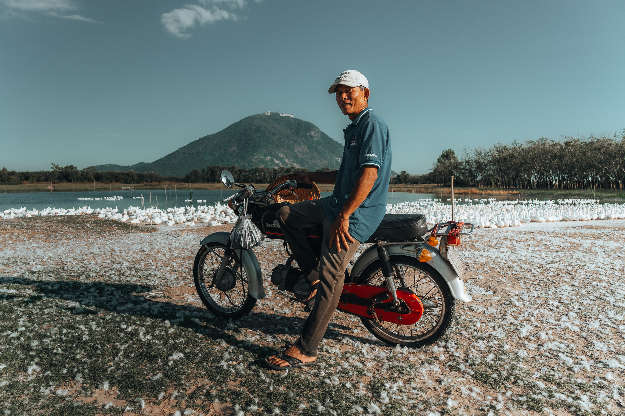 Chu dan vit la ong Thanh Hai, mot nguoi gan bo voi nghe chan nuoi vit hon 30 nam qua. Ong dung choi canh, an o va trong coi dan vit de thu trung phuc vu dip Tet Nguyen Dan.