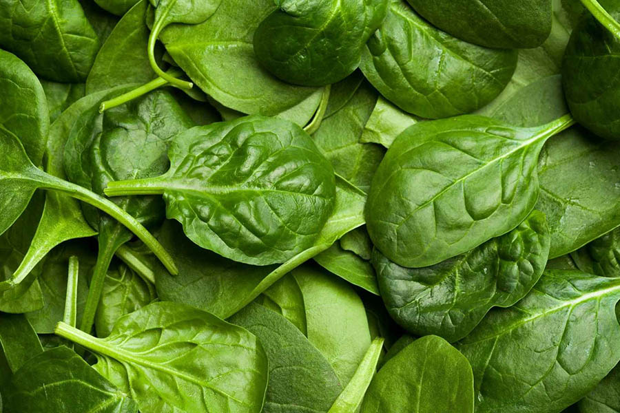 El tipo de lechuga que se compara con una verdura longeva