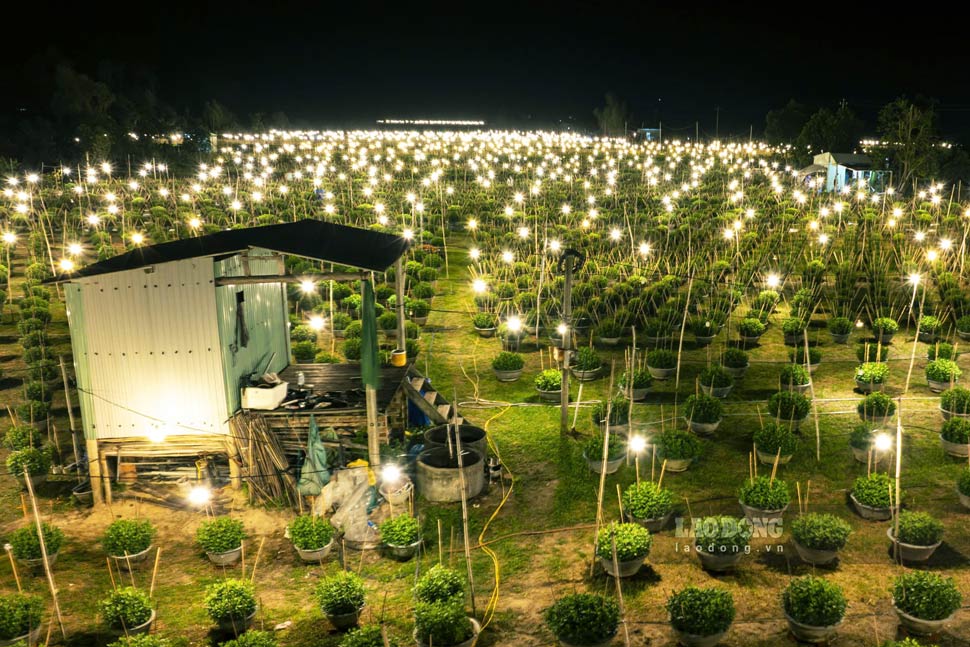 Sau 2 tran thien tai lich su