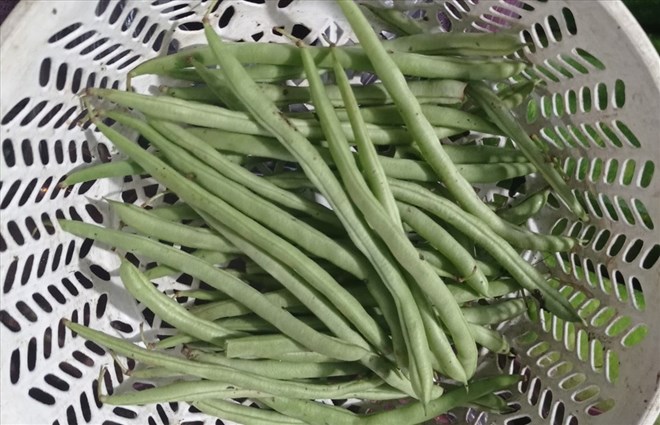 Adding green beans to your daily meals helps strengthen bones. Photo: Thanh Ngoc